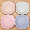 Unbreakable Mini Dinner Plates