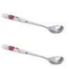 Stainless Steel Ceramic Handle Tea Spoon