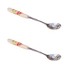 Stainless Steel Ceramic Handle Tea Spoon